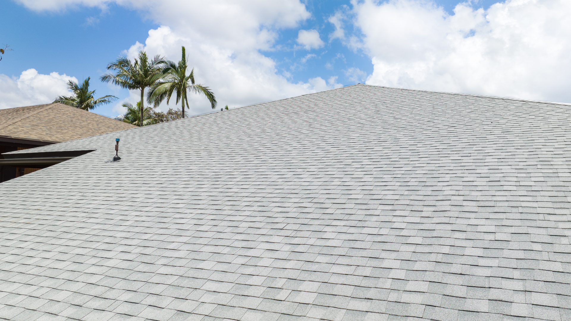 Roof Maintenance & Waterproofing